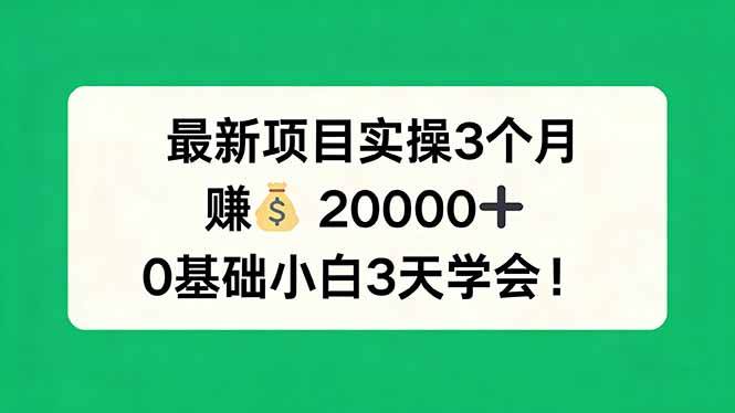 (17856期)最新项目实操3个月,赚钱20000+,0基础小白3天学会! (17856期)最新项目实操3个月,赚钱20000+,0基础小白3天学会!