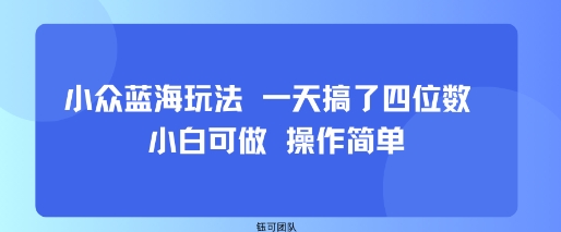 小众蓝海玩法 一天搞了四位数 小白可做 操作简单-知知学社