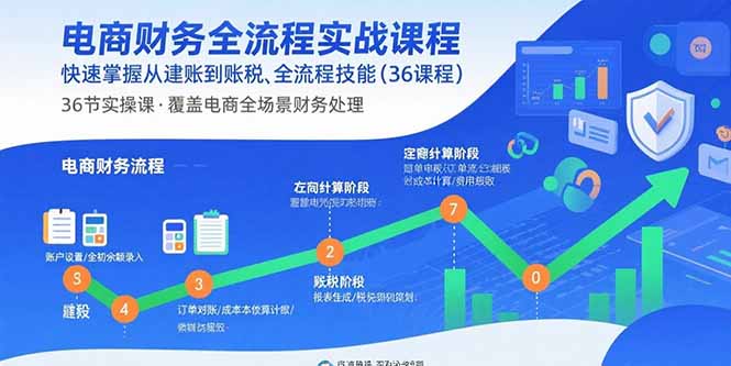 电商财务全流程实战课程：快速掌握从建账到报税的全流程技能（36节课）-知知学社