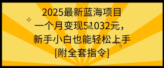 2025最新蓝海项目一个月变现1w+新手小白也能轻松上手【附全套指令】-知知学社