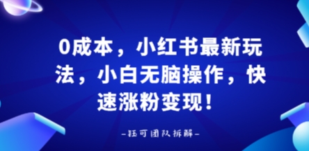 0成本，小红书最新玩法，小白无脑操作，快速涨粉变现-知知学社