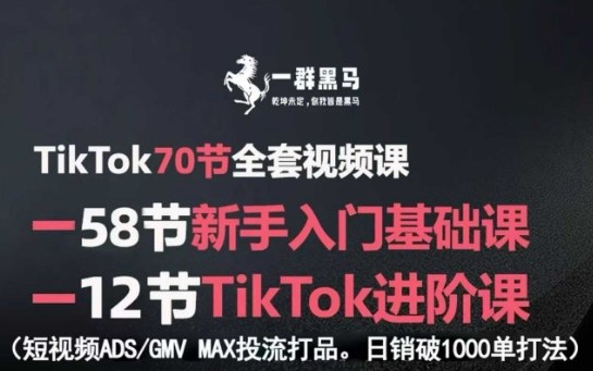TikTok全套视频课，新手入门+进阶课，短视频ADS-GMV MAX投流打品，日销破1000单打法-知知学社