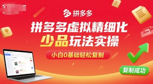 拼多多虚拟精细化少品玩法实操，小白0基础轻松复制-知知学社