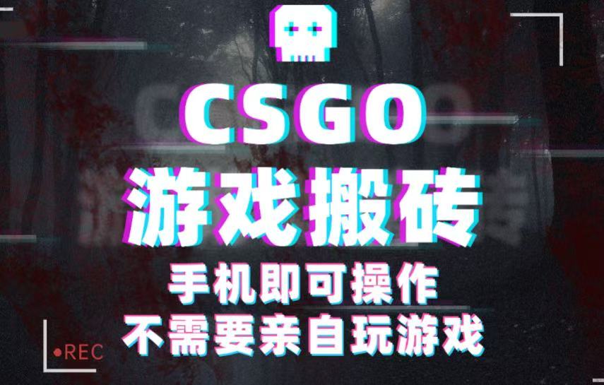 CSGO游戏挂G捡漏,单日扫货500+,年底小高峰上车可吃肉,手机即可操作副业副业-知知学社