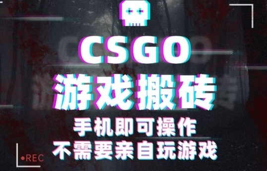 CSGO游戏挂G捡漏,单日扫货5张+,年底小高峰上车可吃肉,手机即可操作,副业副业创业网创-知知学社