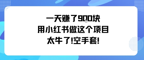 一天挣了9张用小红书做这个项目太牛了,空手套-知知学社