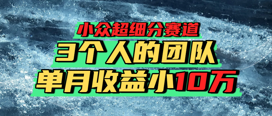 小众超细分赛道,一年百万利润的盘子!-知知学社