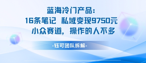 蓝海项目:16条笔记私域变现9750米小众赛道操作的人不多-知知学社