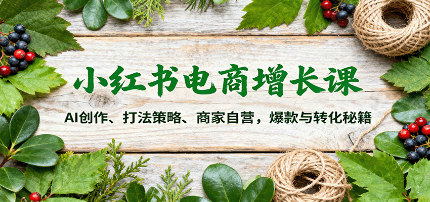 小红书电商增长课:AI创作、打法策略、商家自营,爆款与转化秘籍-知知学社