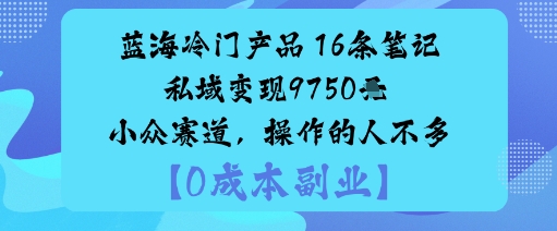 蓝海冷门产品:16条笔记私域变现9750米小众赛道,操作的人不多-知知学社