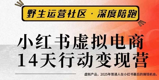 小红书虚拟电商14天变现训练营3.0,虚拟产品,2025年普通人在小红书最后的搞钱机会-知知学社