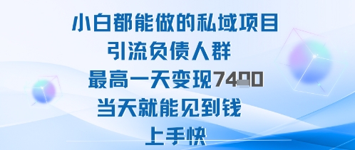 2025年小白都能做的私域项目引流负债人群最高一天变现1k+高变现难度低当天就能见到钱上手快-知知学社