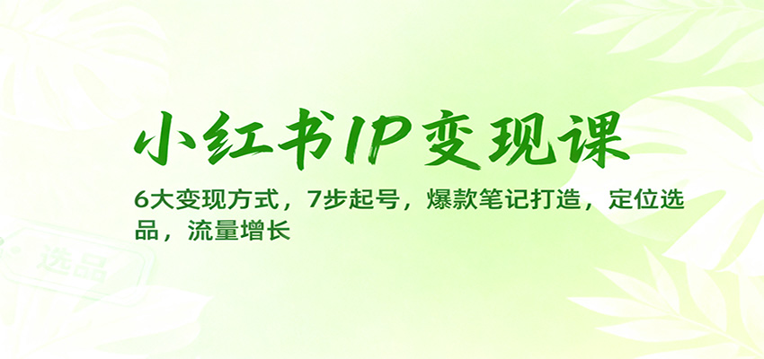 小红书IP变现实战指南:6种变现方法,7步账号启动,爆款笔记策略,定位选品与流量增长 – 知知学社-知知学社
