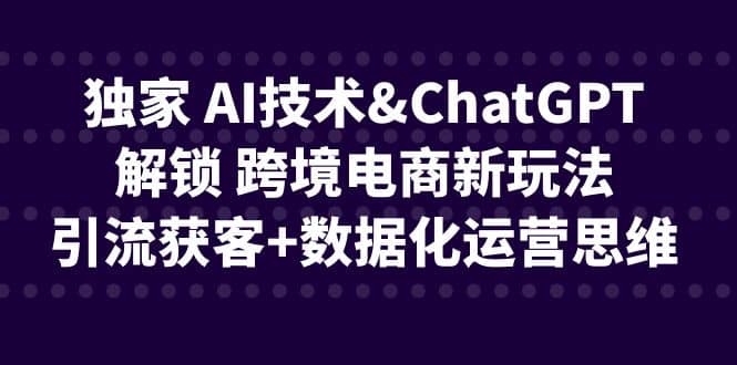 独家 AI技术ChatGPT解锁 跨境电商新玩法,引流获客 数据化运营思维 – 知知学社-知知学社